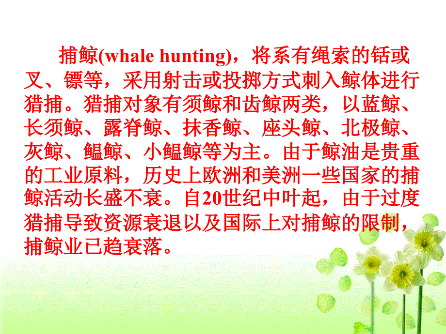 模块7 Unit 3 Reading（公开课）捕鲸（whale hunting）课件_第3页