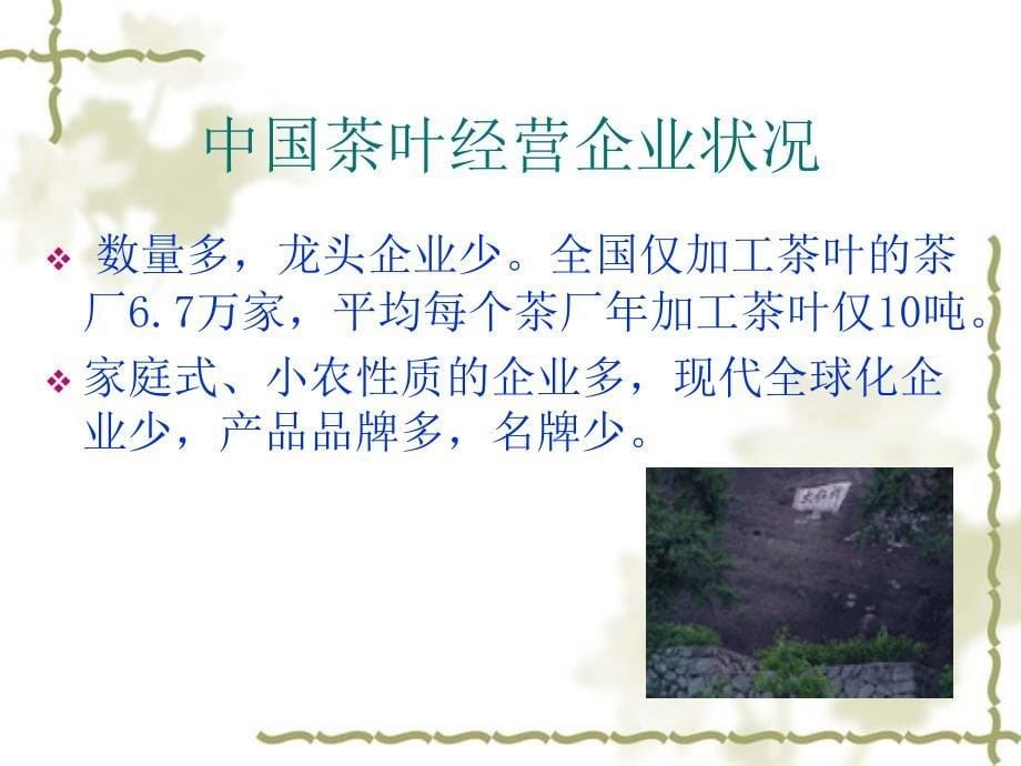 广州茶叶市场调查报告课件_第5页