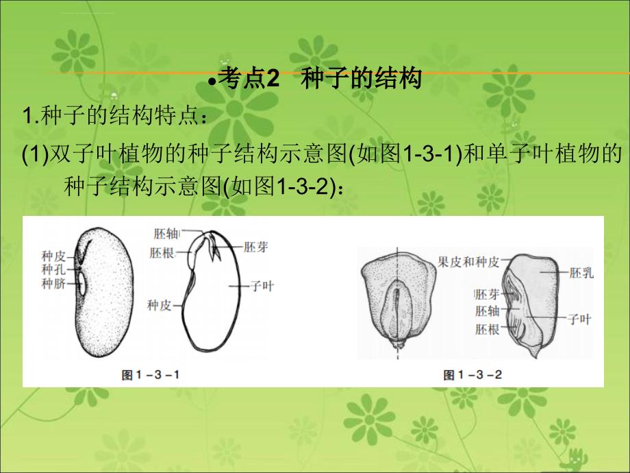 广东省中山市人教版2016年初中生物中考精美复习课件 第三单元 生物圈中的绿色植物 第1课时_第4页