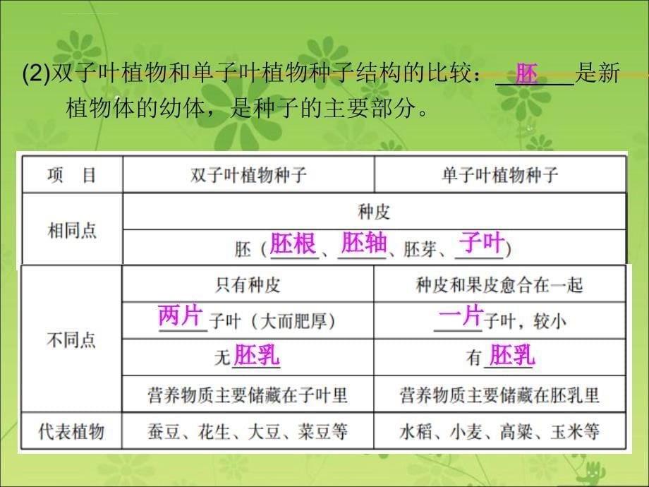 广东省中山市人教版2016年初中生物中考精美复习课件 第三单元 生物圈中的绿色植物 第1课时_第5页