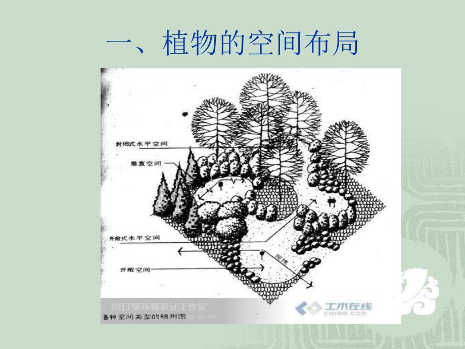 图解植物栽植的科学布局正式版课件_第4页