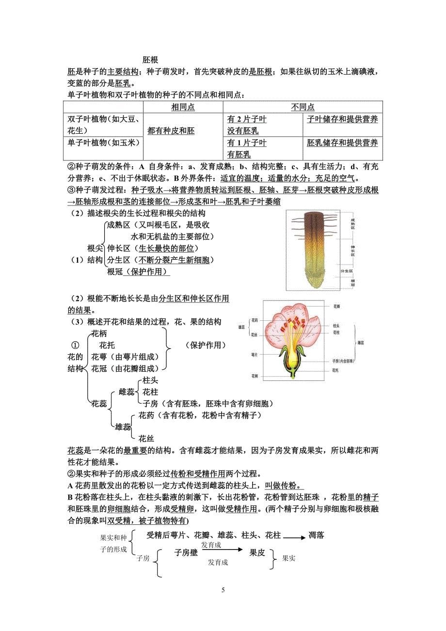 生物中考知识点总结（2020年整理）.pdf_第5页