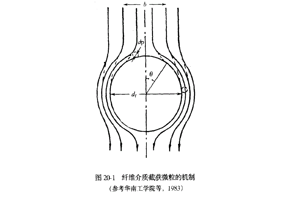 发酵工程第20章 课件_第4页