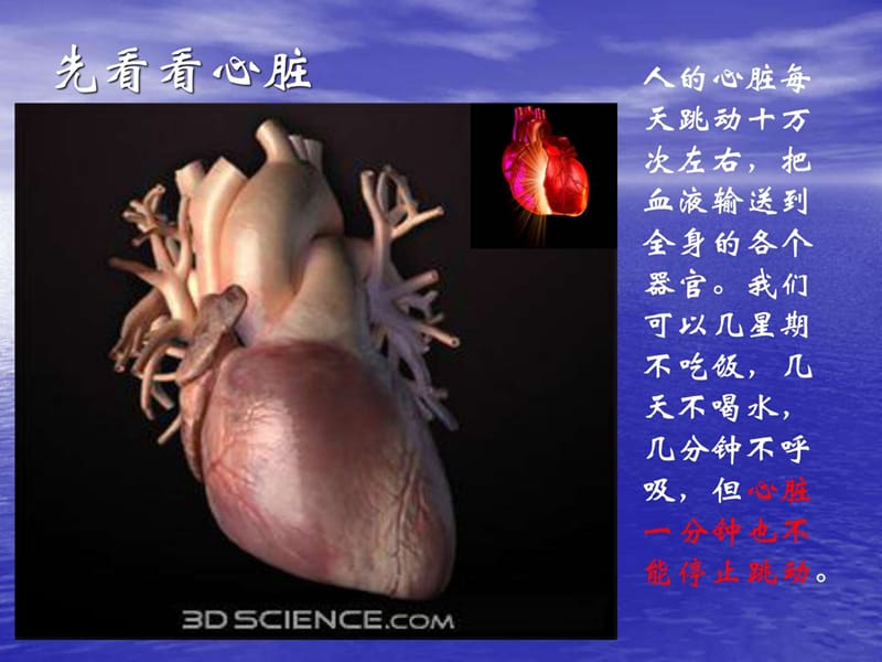 最新急性心梗的急救与护理课件_第4页