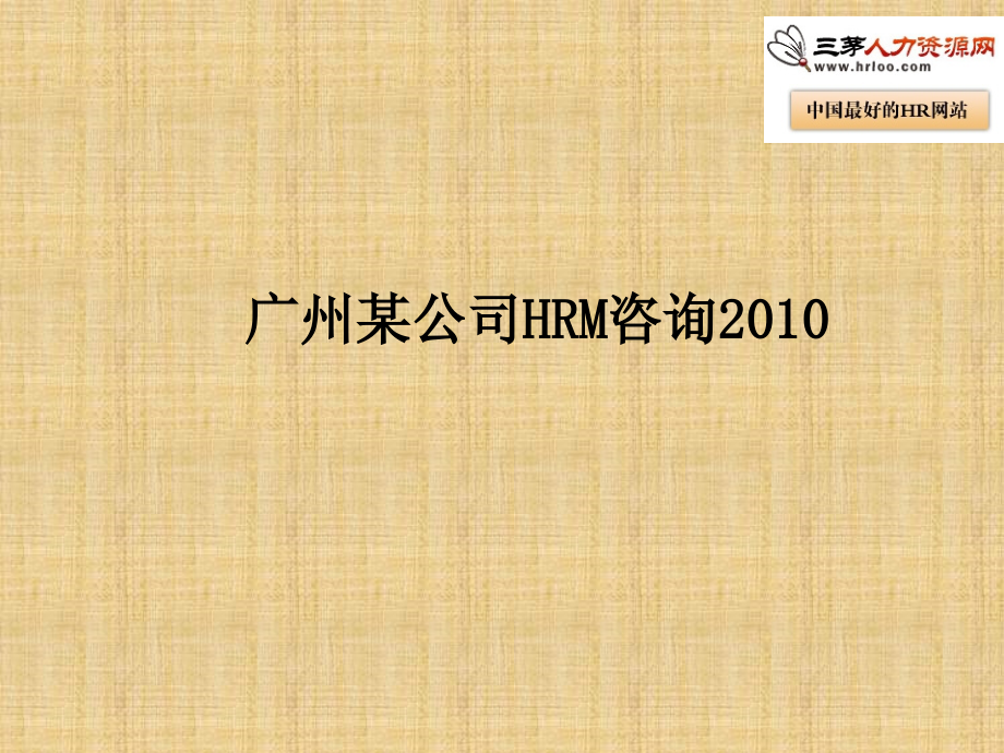 广州某公司HRM咨询公司人力资源报告课件_第1页