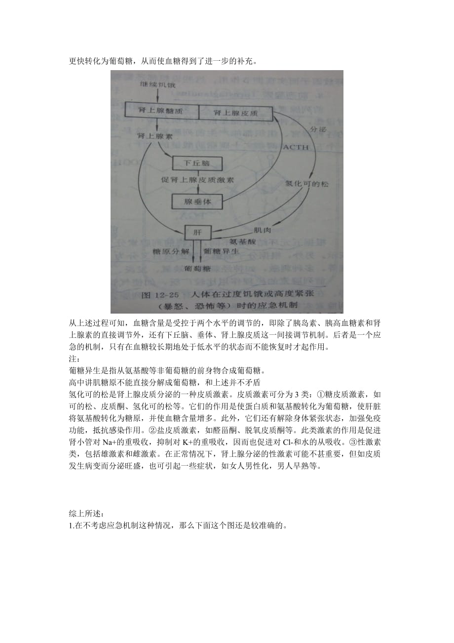 肾上腺素是怎样参与血糖调节的-_第2页