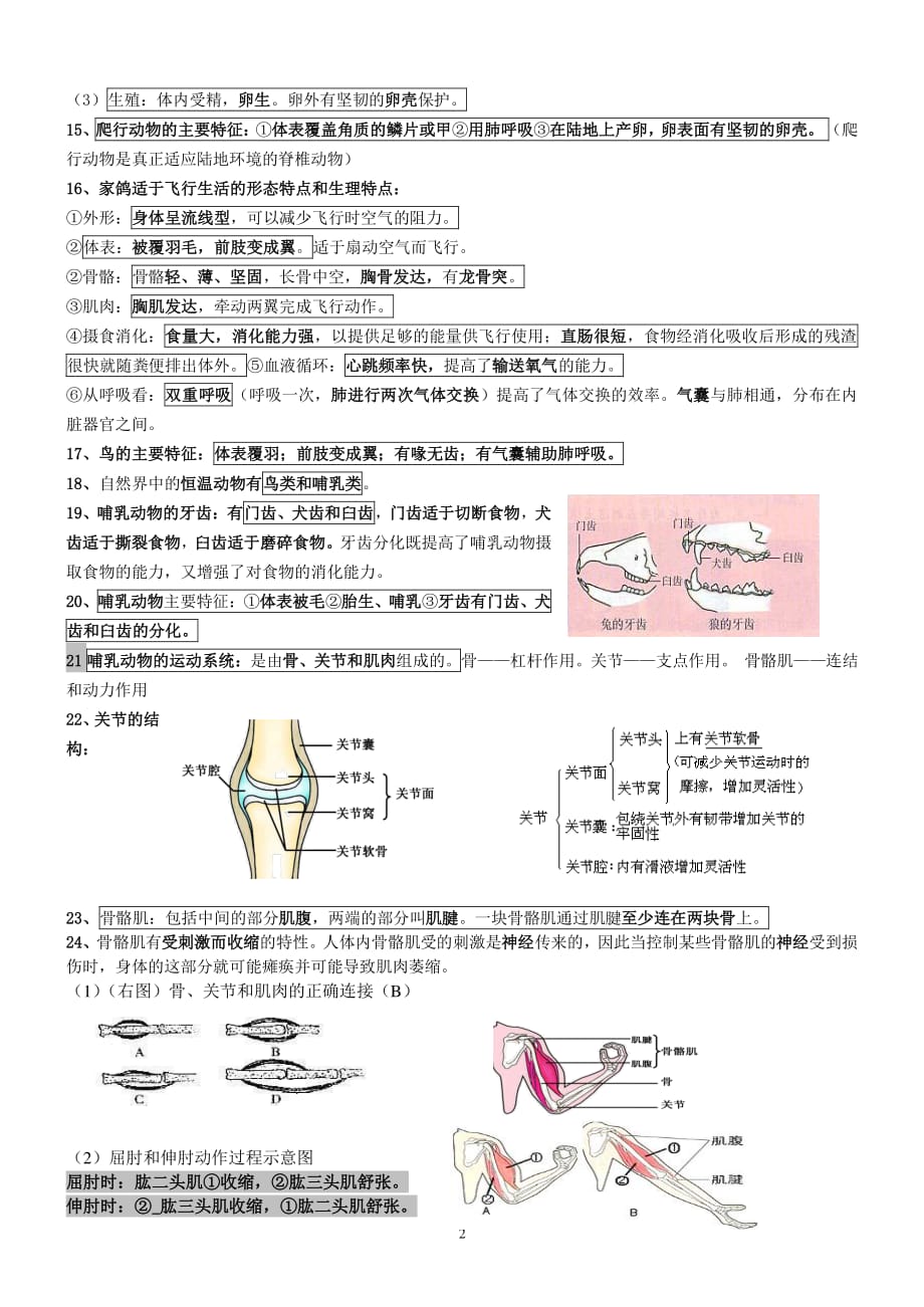 新人教版八年级上册生物复习提纲（2020年整理）.pdf_第2页