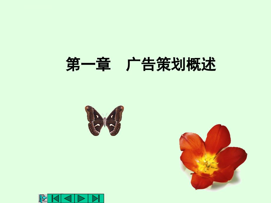 广告计划概述课件_第1页