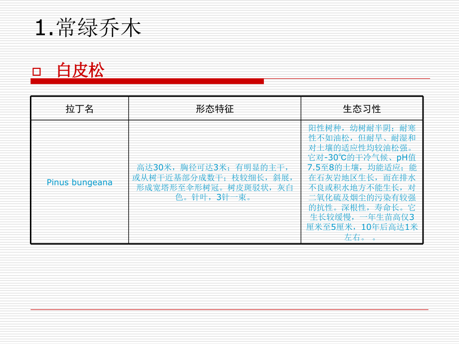 北京园林常见树种 课件_第4页