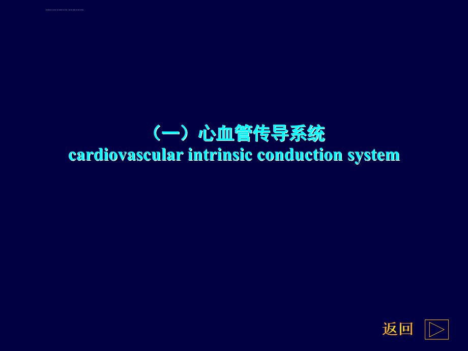 心电图学习教程课件_第4页