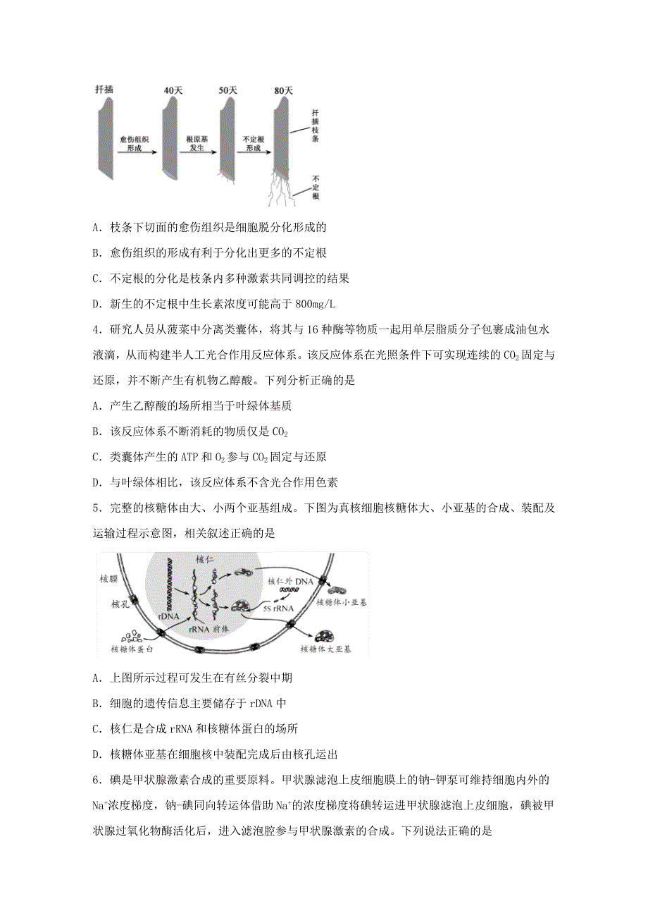 四川省2021届高三理综上学期开学考试试题【含答案】_第2页