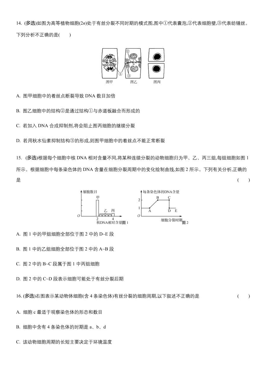 2021届（新高考）一轮复习强化集训——细胞增殖_第5页