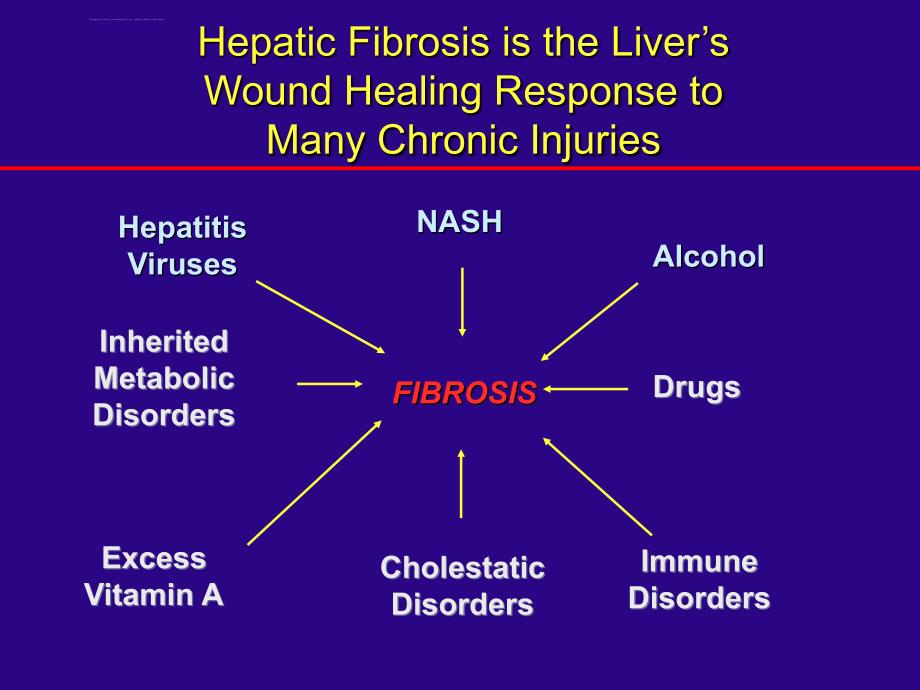 慢性肝病和肝纤维化-尤 红课件_第2页