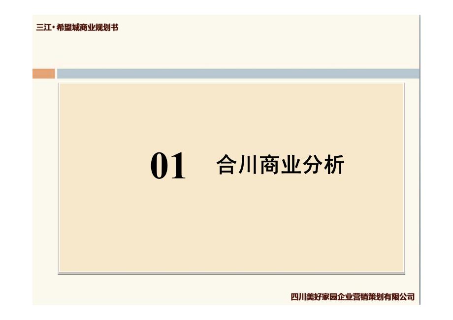 2011年1月重庆合川区三江·希望城商业规划书_第2页