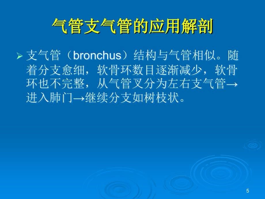 （优质医学）肺部解剖与影象_第5页