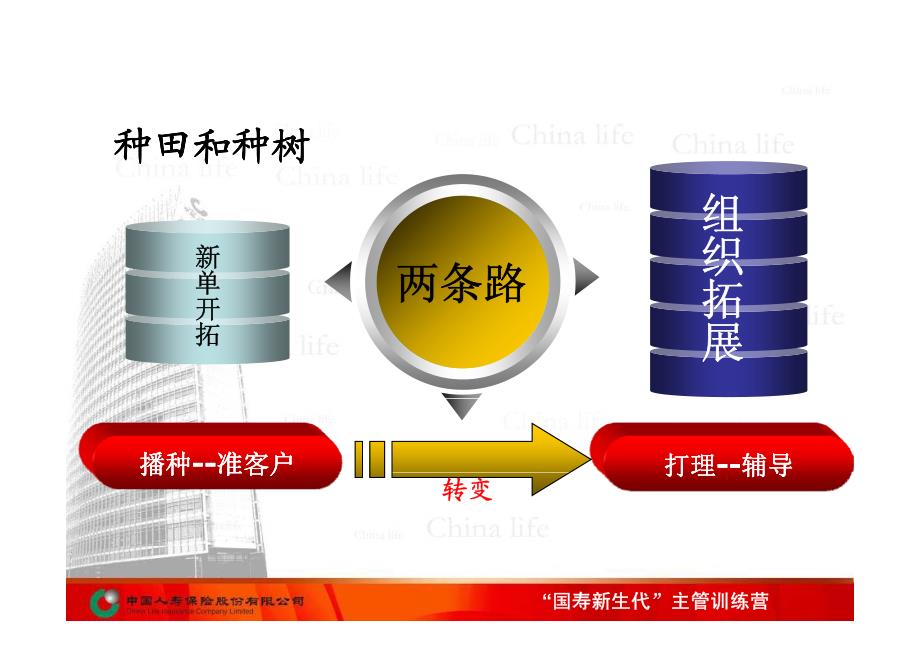 两条腿走路快又好——如何看待基本法的晋升_第4页