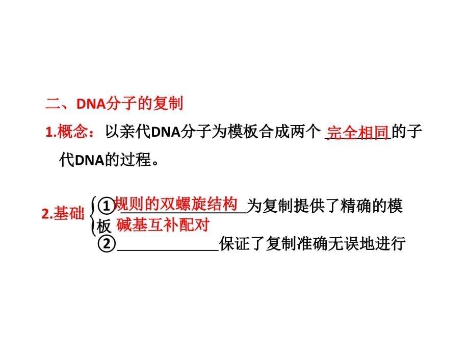 必修部分 第六章第一节 二 DNA分子的结构和复制课件_第5页