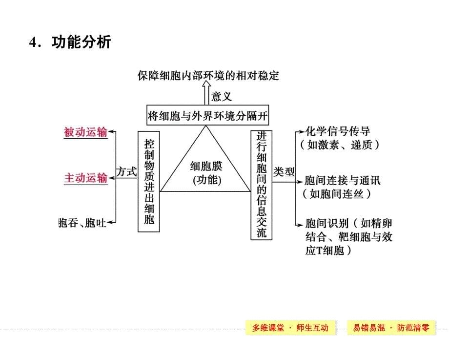 必修一 第二单元 第1讲 细胞膜与细胞核(含生物膜的流动镶嵌模型)课件_第5页