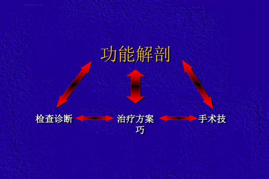 手的功能解剖ppt课件_第2页