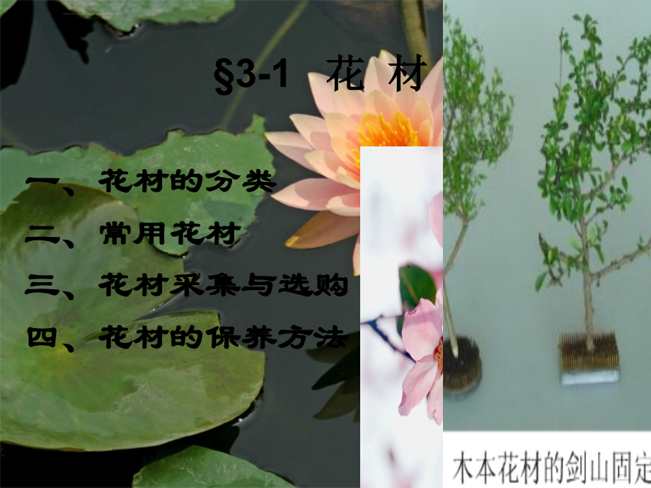 插花基本知识课件_第4页