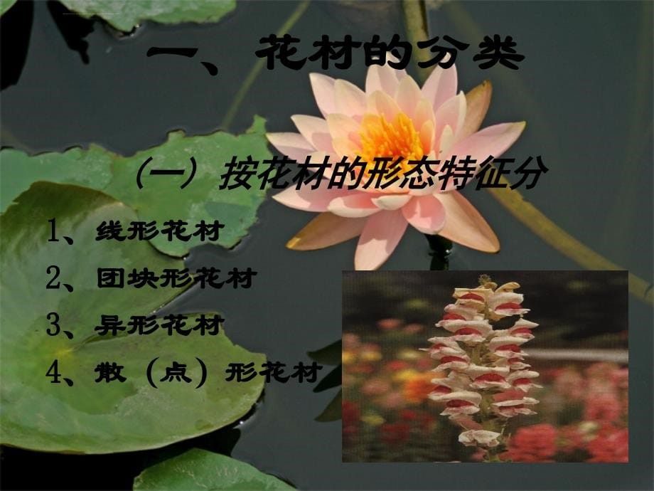 插花基本知识课件_第5页