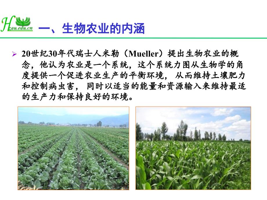 我国生物农业产业发展分析课件_第3页