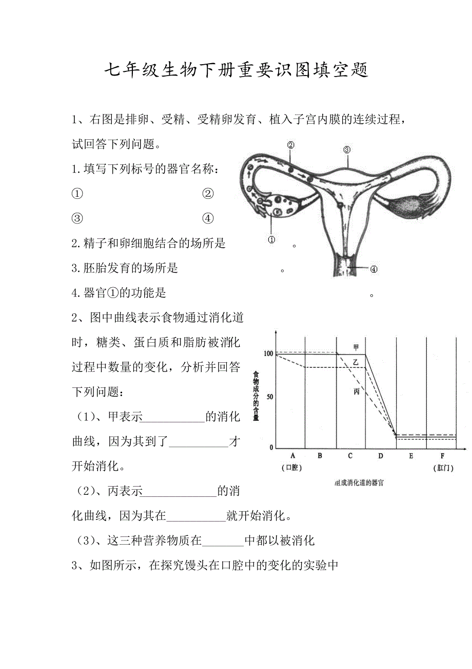 七年级生物(下册)重要识图填空题_第1页