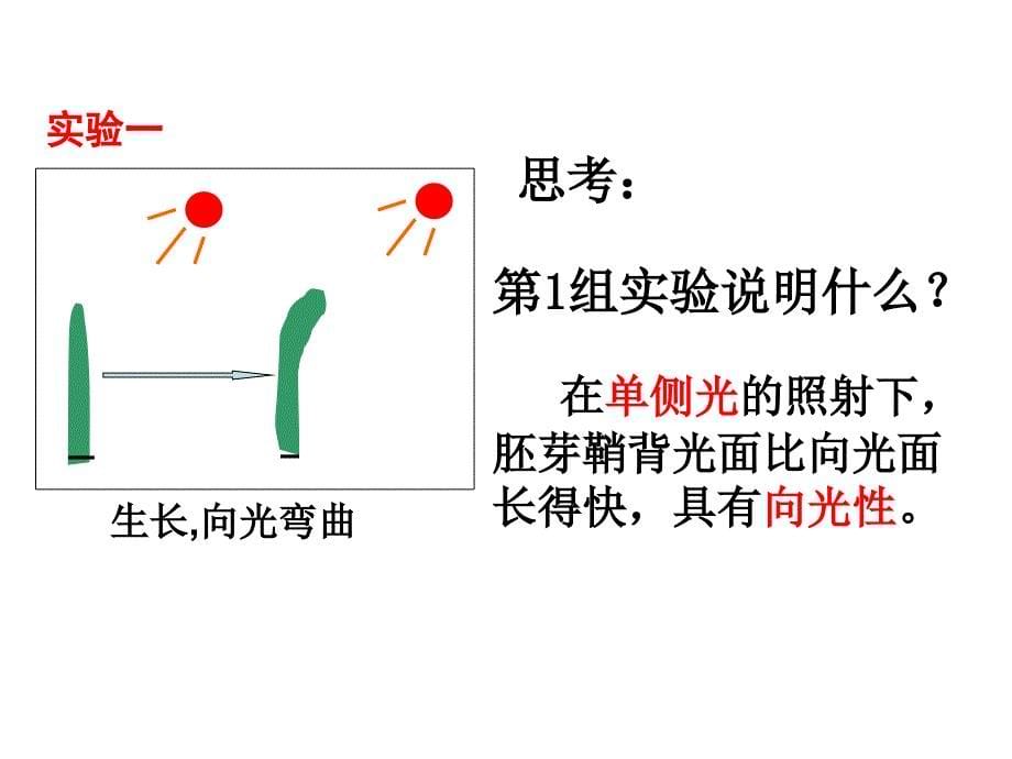 很好012植物生长素的发现课件_第5页