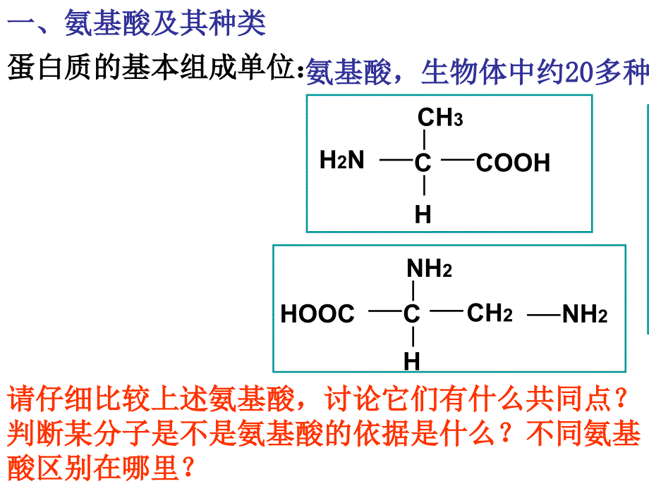 必修1-02-02生命活动的主要承担者――蛋白质课件_第3页