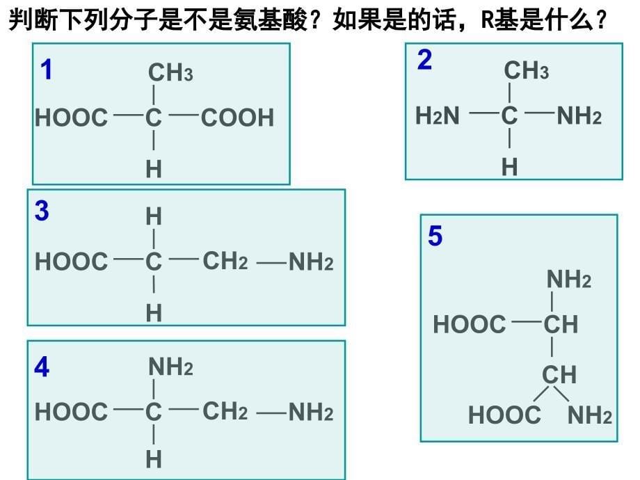 必修1-02-02生命活动的主要承担者――蛋白质课件_第5页