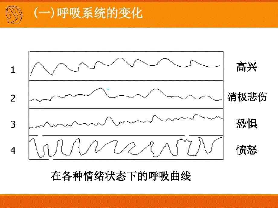 情绪和情感的机体表现(心理学教育) 课件_第5页