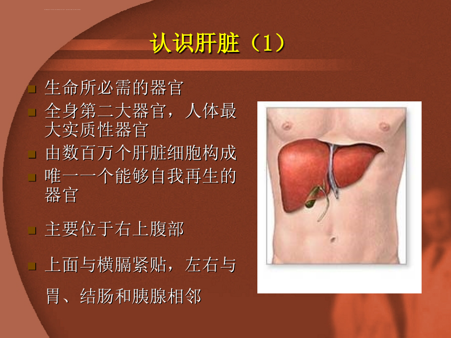 感染科护理查房-慢性乙肝讲诉课件_第3页