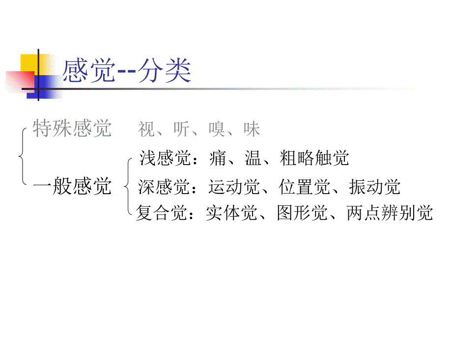 感觉、运动、反射课件_第2页