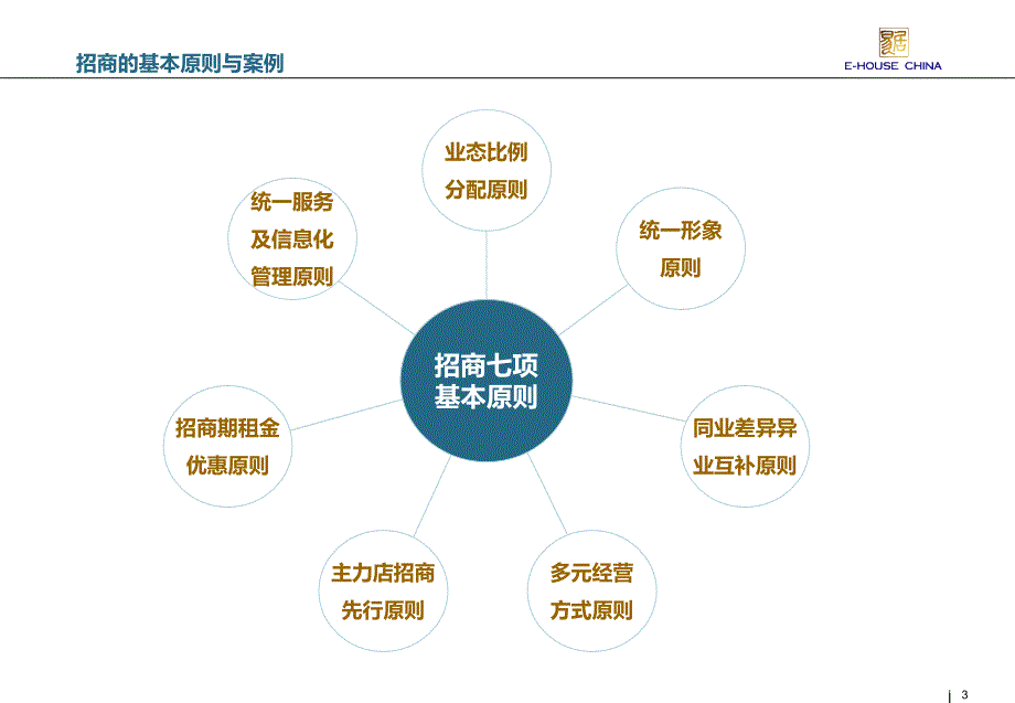 招商策略与各类商家要求要点课件_第3页