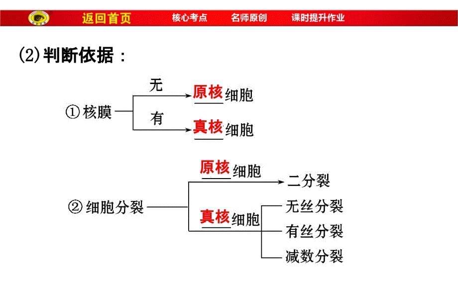 必修1第一单元第1讲走近细胞详解课件_第5页