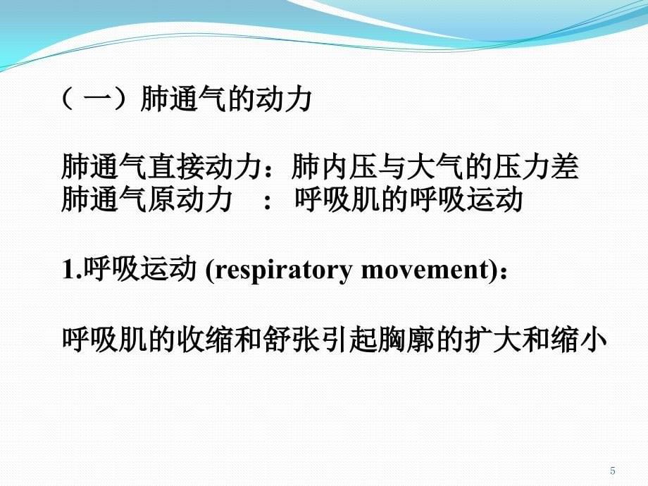 （优质医学）呼吸系统_第5页