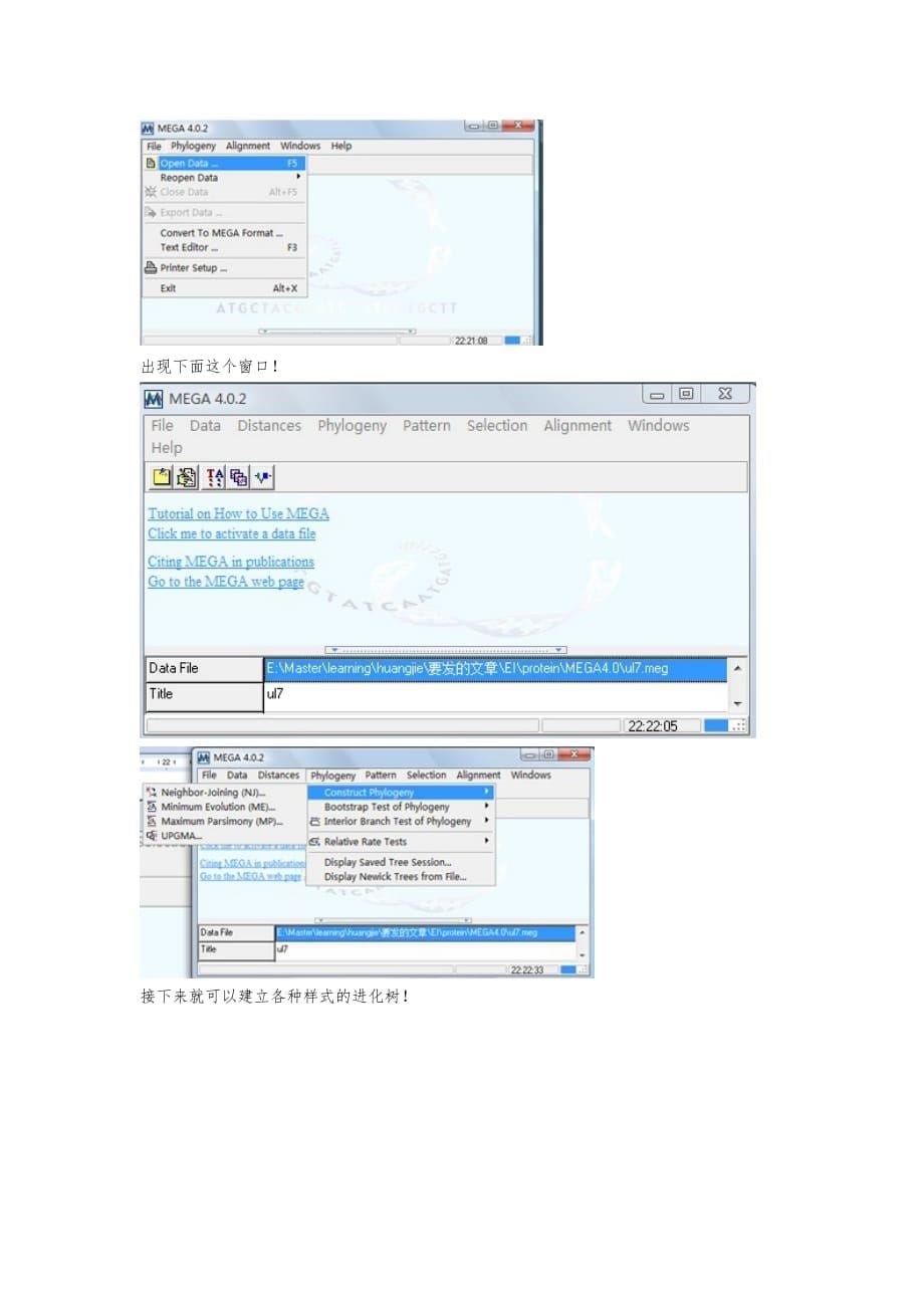 怎样使用MEGA建立进化树_第5页