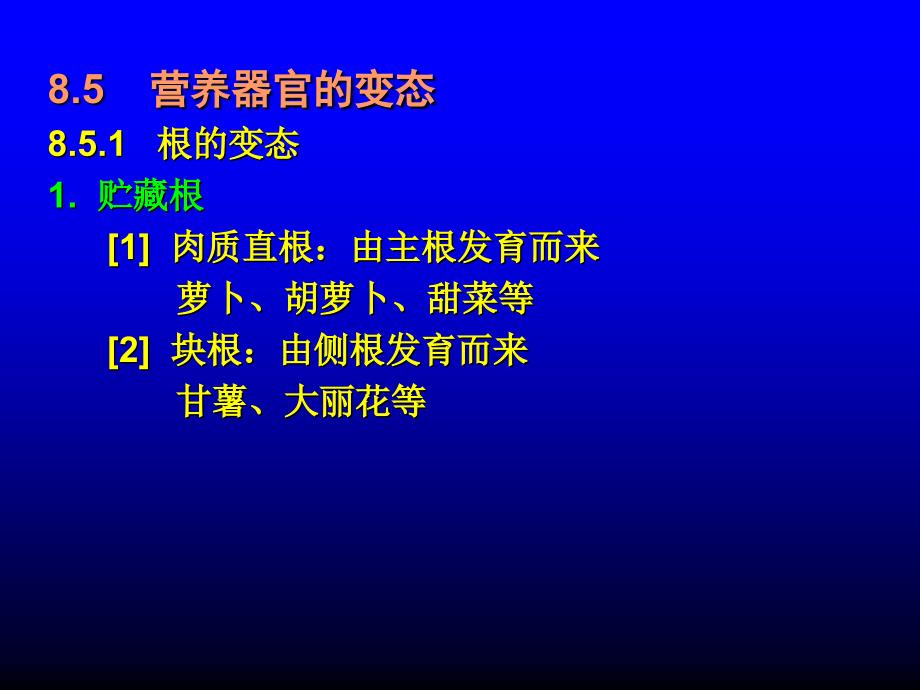 植物营养器官课件_第1页