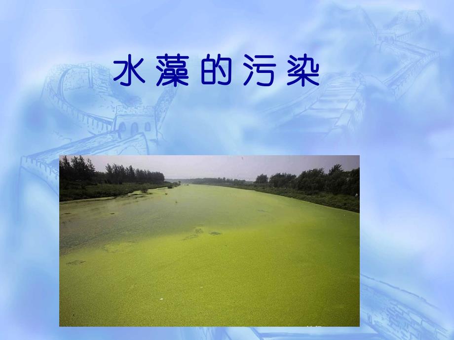 水藻的污染和白色污染课件_第1页