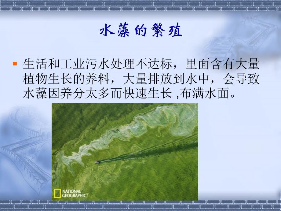 水藻的污染和白色污染课件_第3页