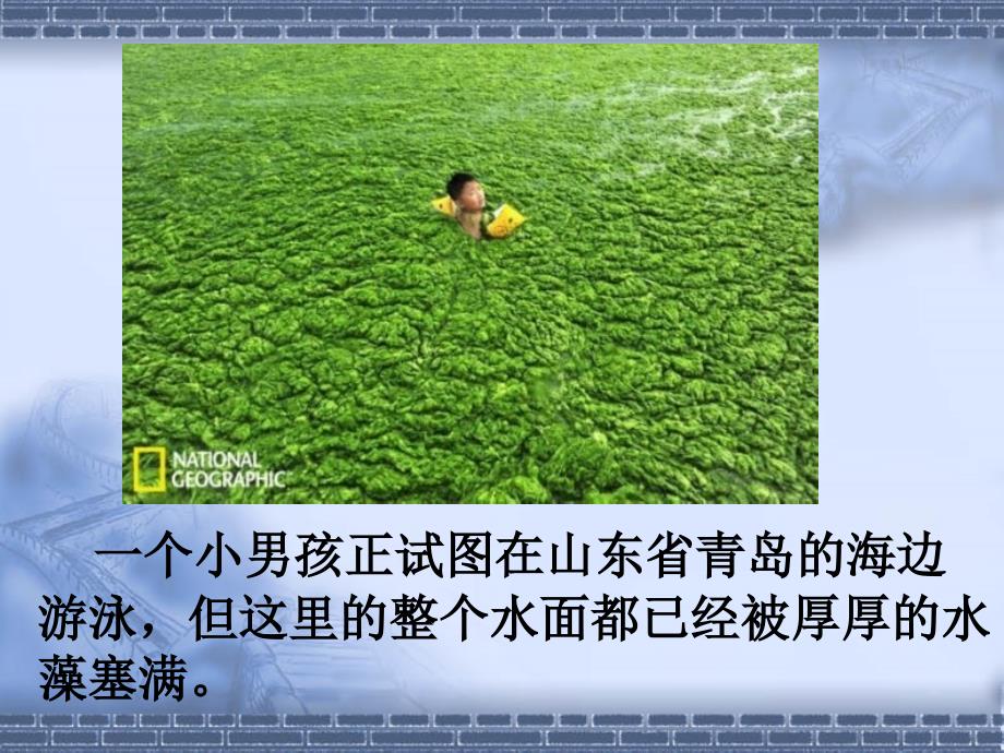 水藻的污染和白色污染课件_第4页