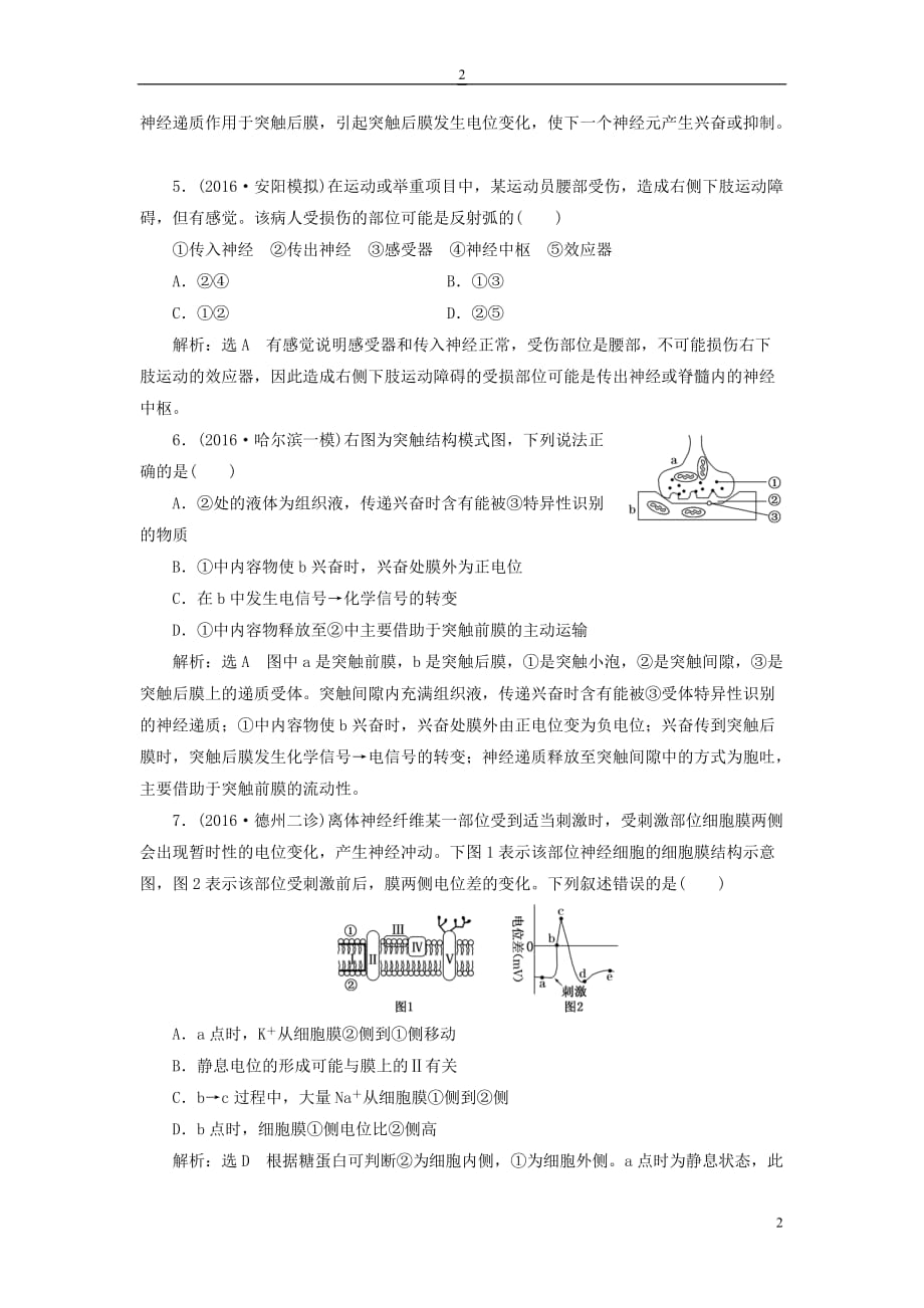 高三生物一轮复习 课时跟踪检测（二十七）第一单元 动物和人体生命活动的调节 第二讲 通过神经系统的调节（必修3）_第2页