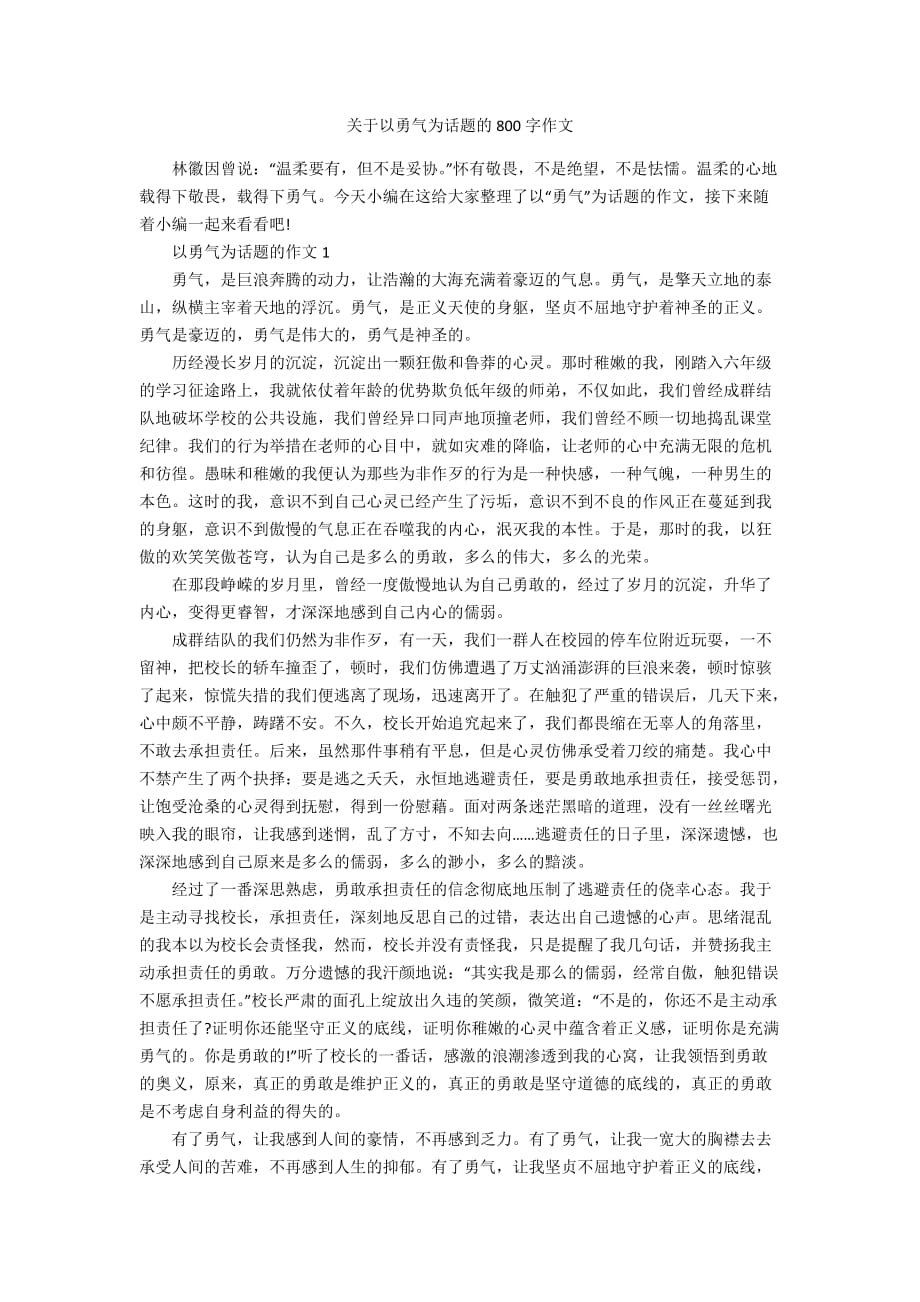 关于以勇气为话题的800字作文_第1页