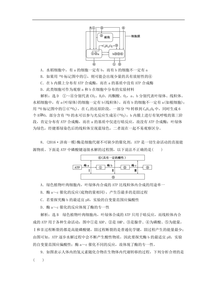 高三生物一轮复习 阶段质量评估（二）细胞代谢（必修1）_第3页