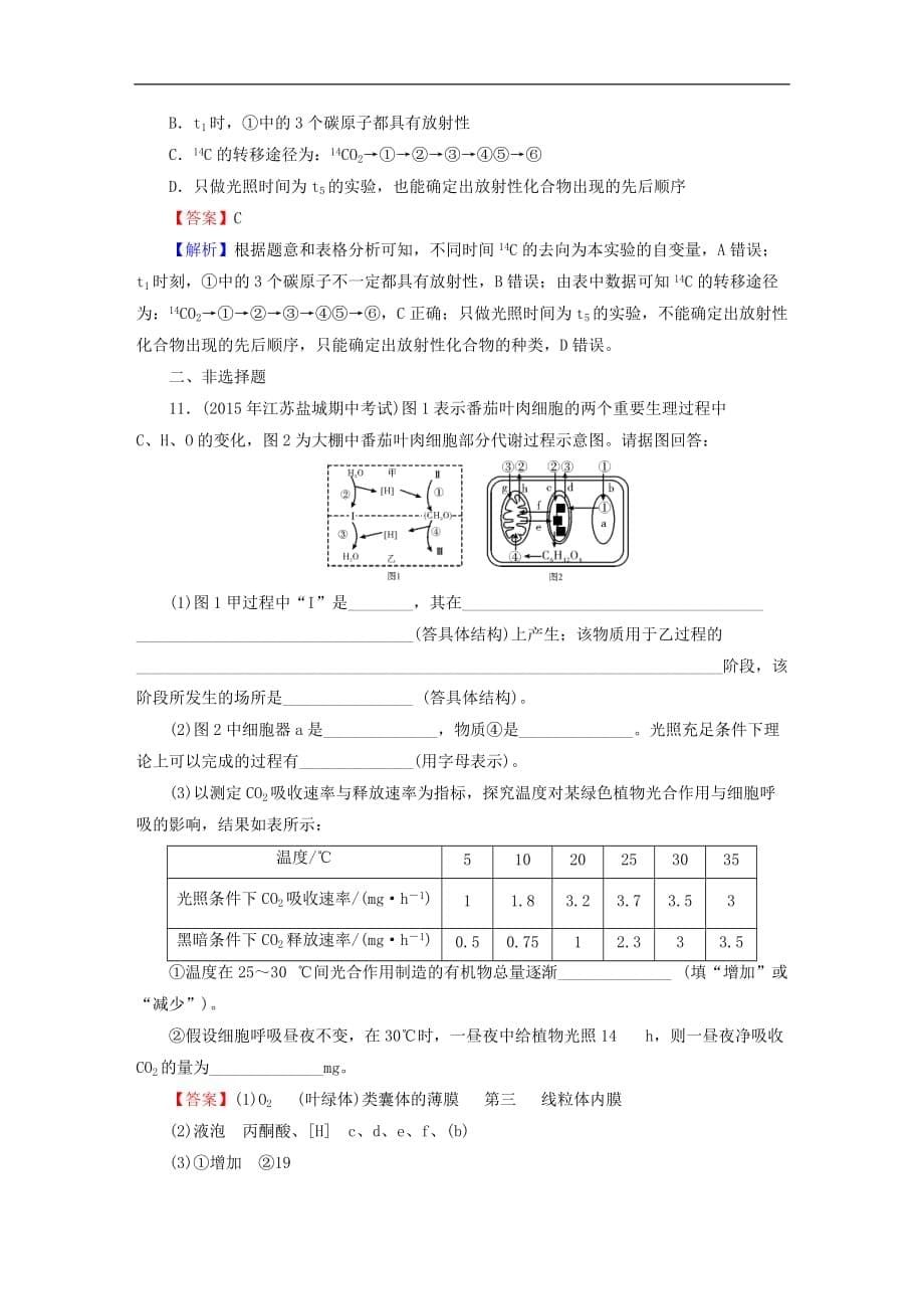 高考生物大一轮复习 第3单元 细胞的能量供应和利用 第3讲 能量之源-光与光合作用课时作业（必修1）_第5页