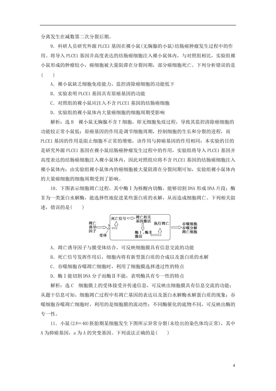 高三生物一轮复习 阶段质量评估（三）细胞的生命历程（必修1）_第4页