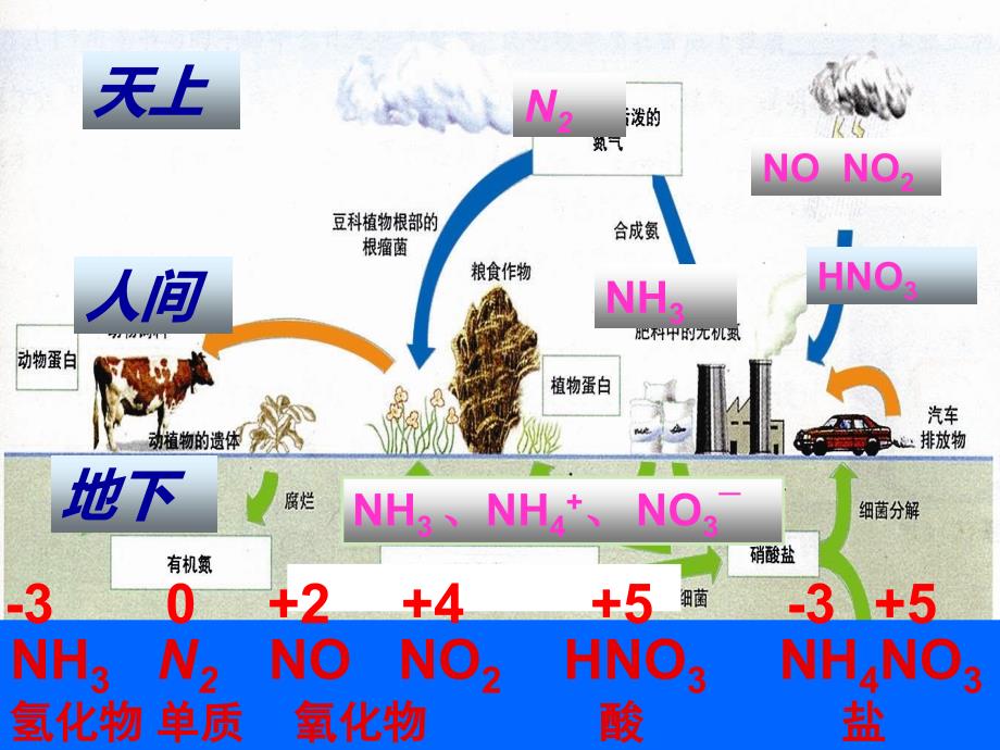 氮的循环PPT课件10 鲁科版_第3页