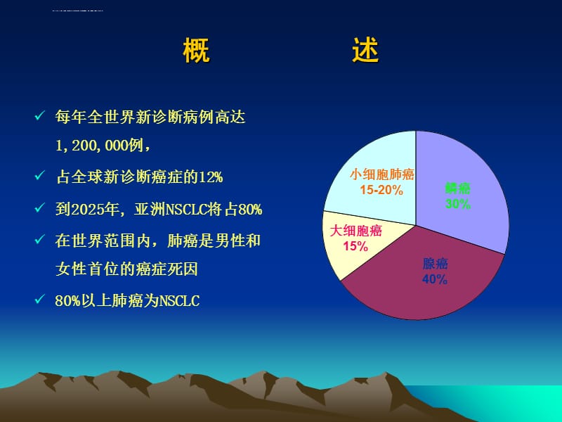 晚期NSCLC的内科治疗现状与展望课件_第3页