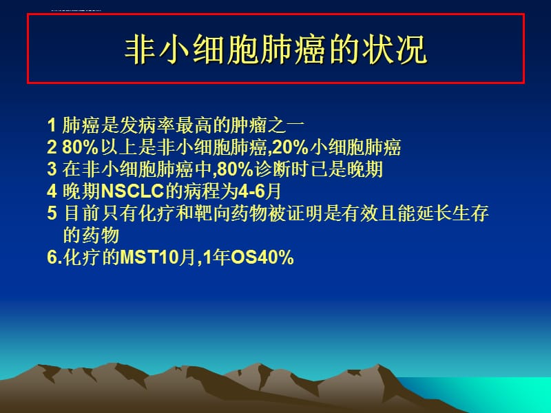 晚期NSCLC的内科治疗现状与展望课件_第4页