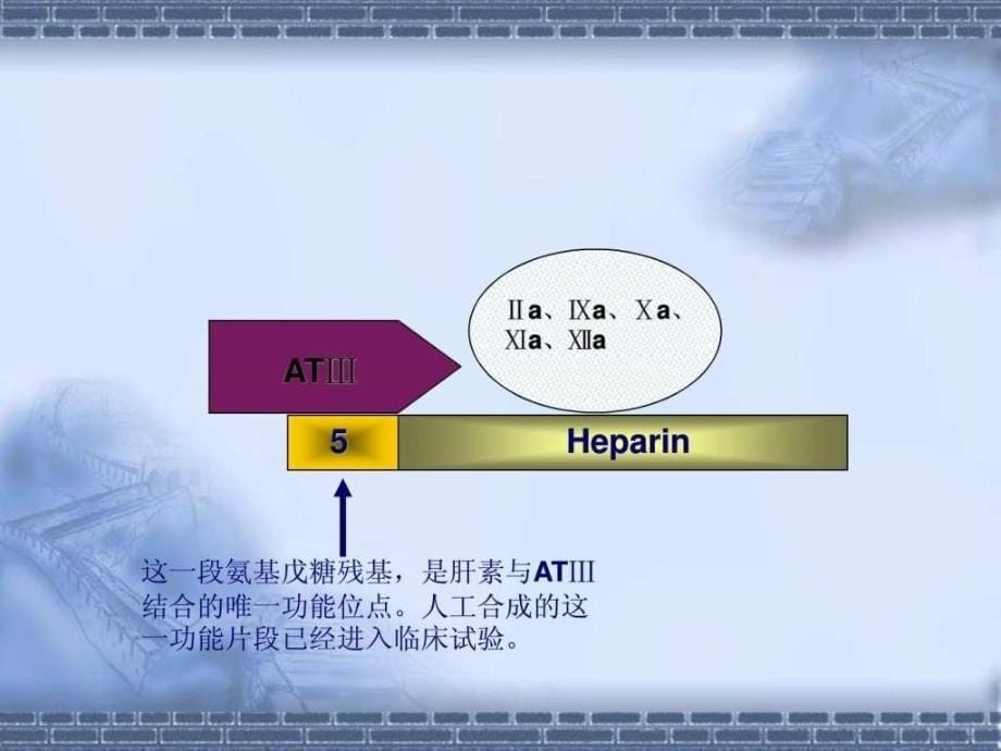 普通肝素和低分子量肝素课件_第5页